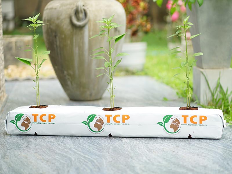 Hydroponic Grow Bags, Coir Grow Bags